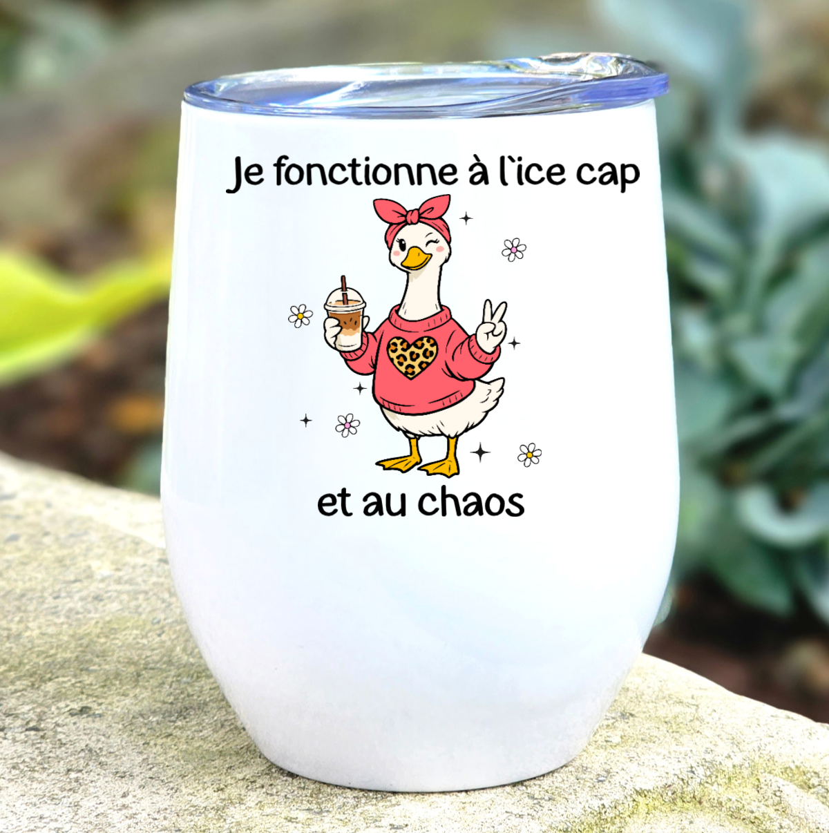 Ice cap et chaos