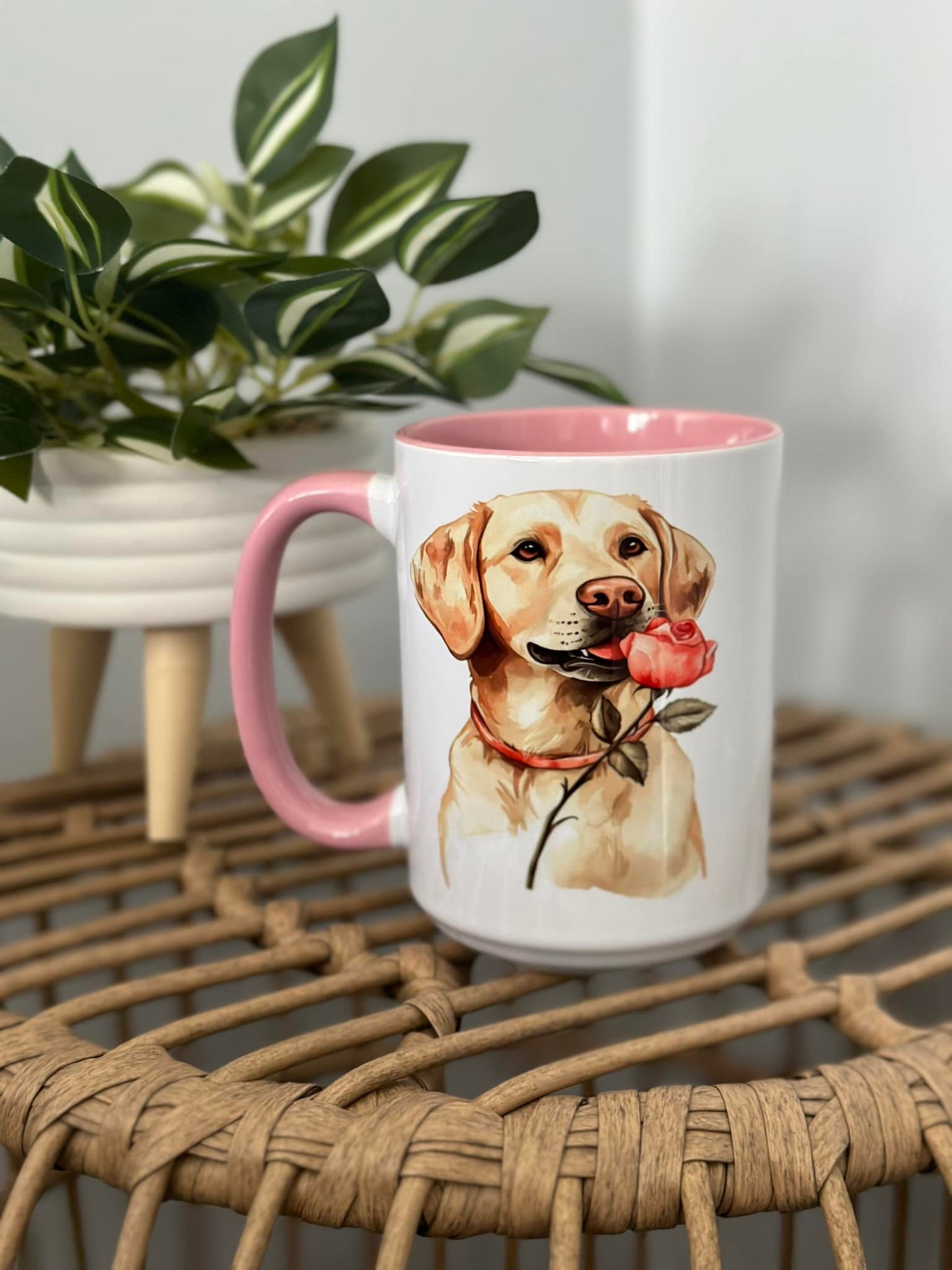 Labrador