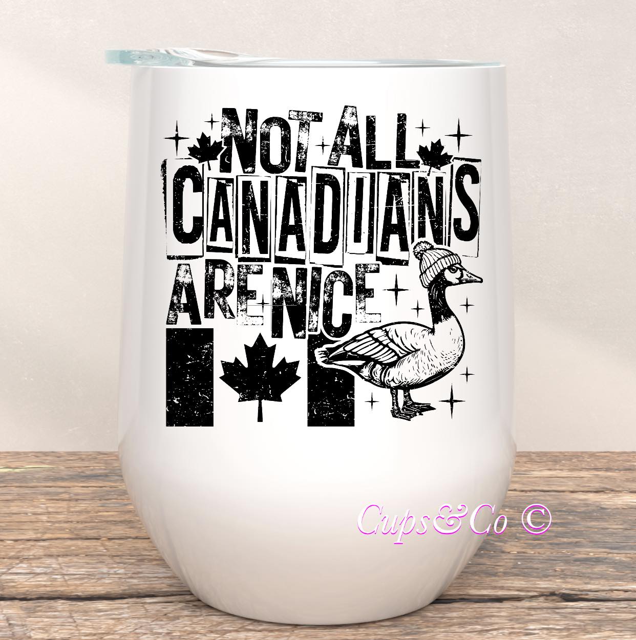 Not all Canadians are nice