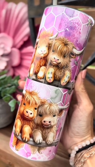 bébés vâches highland