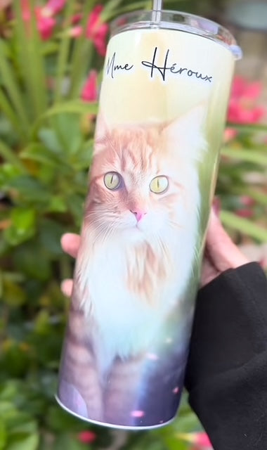 Chat roux