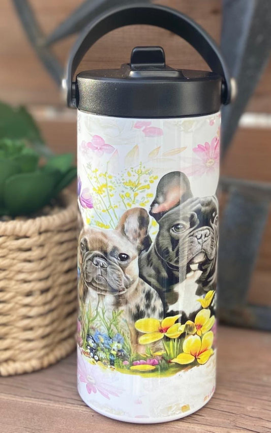 Frenchie chien