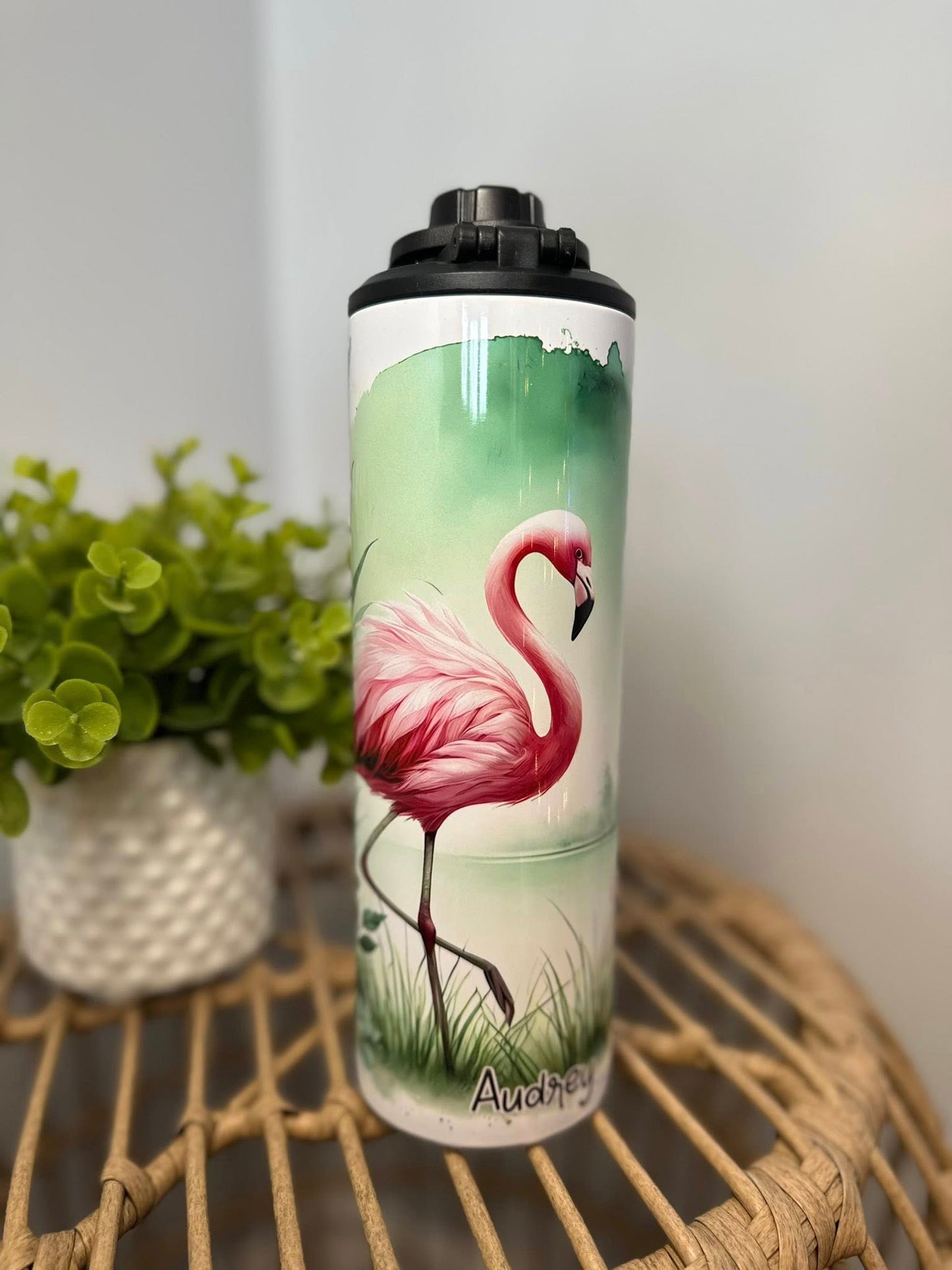 Flamant avec vert