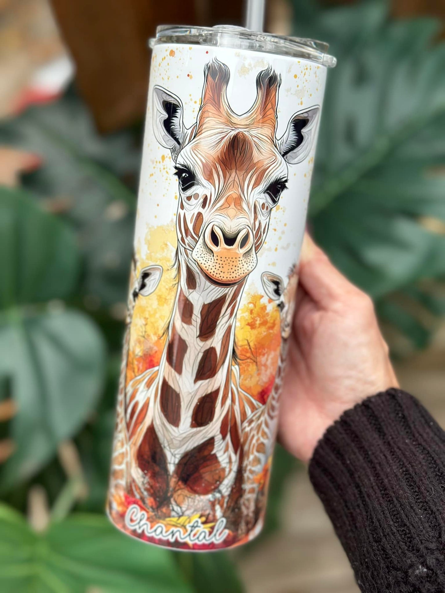 famille de giraffes