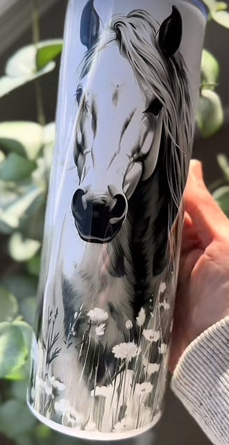 Cheval noir et blanc