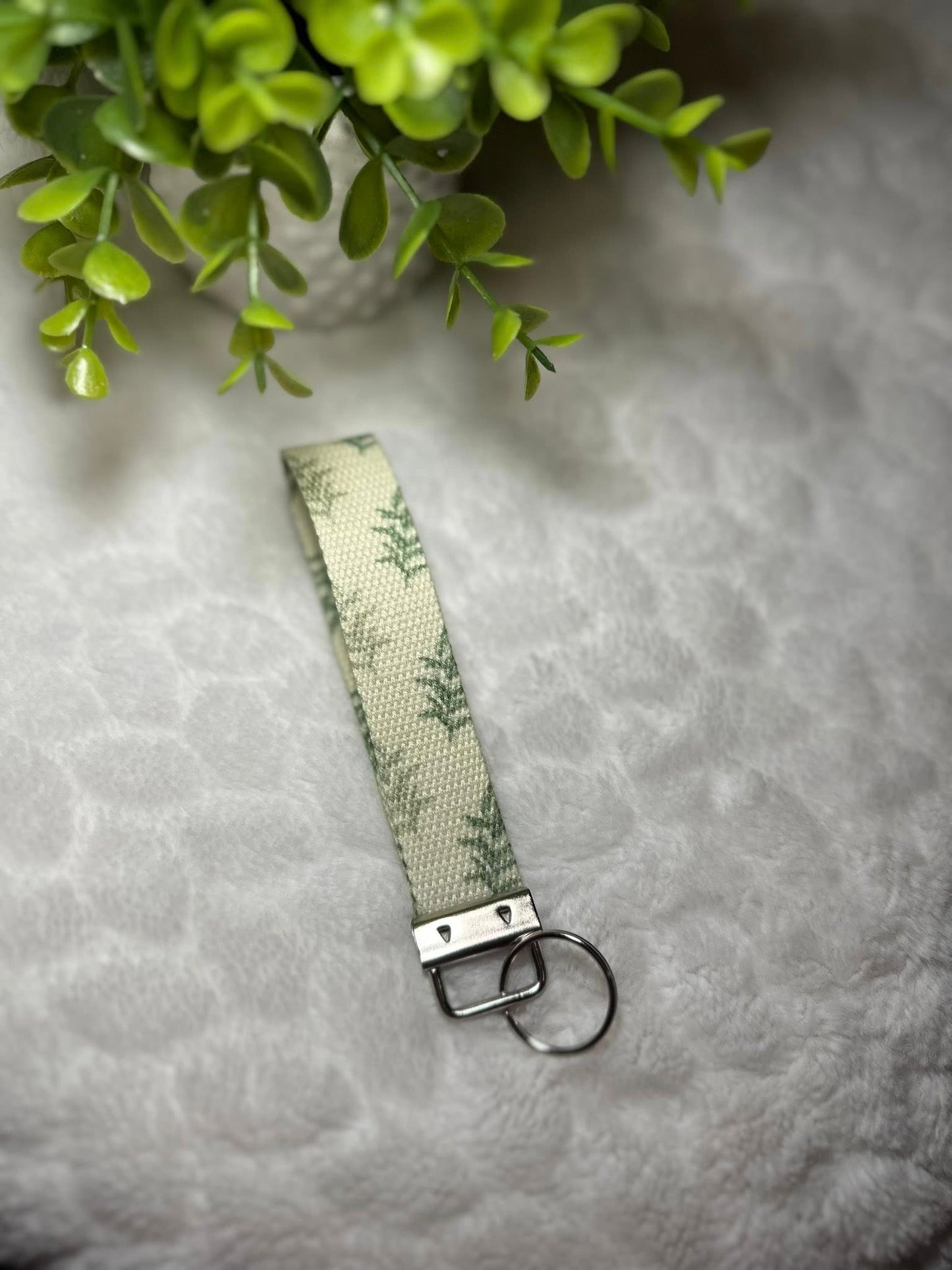 Olive toujours