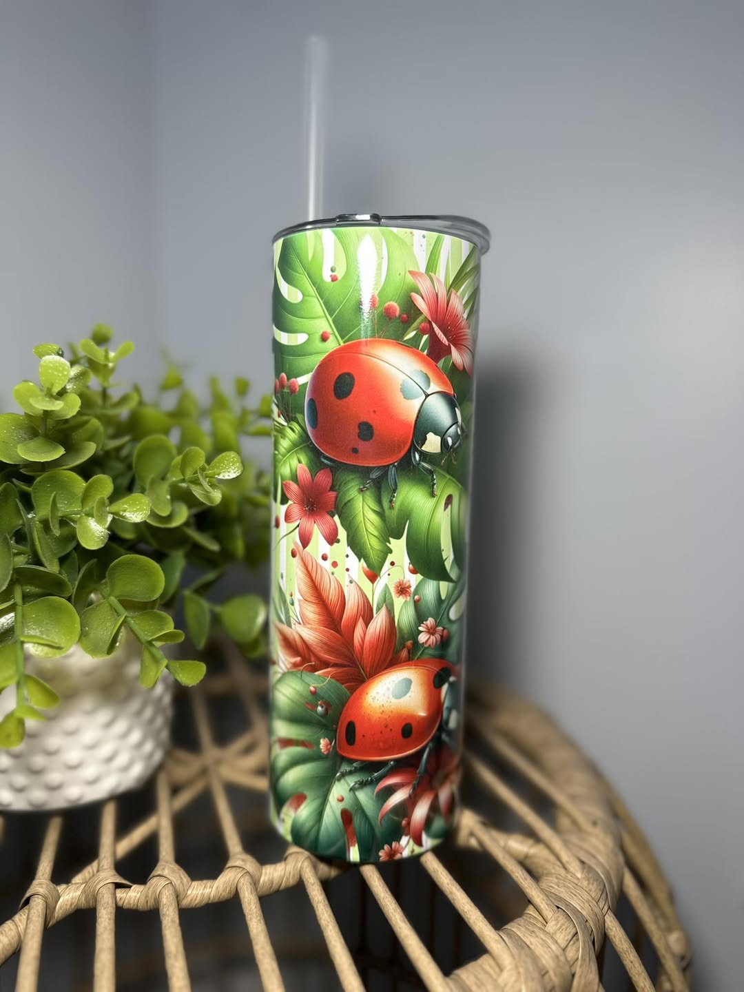 Coccinelle et monstera