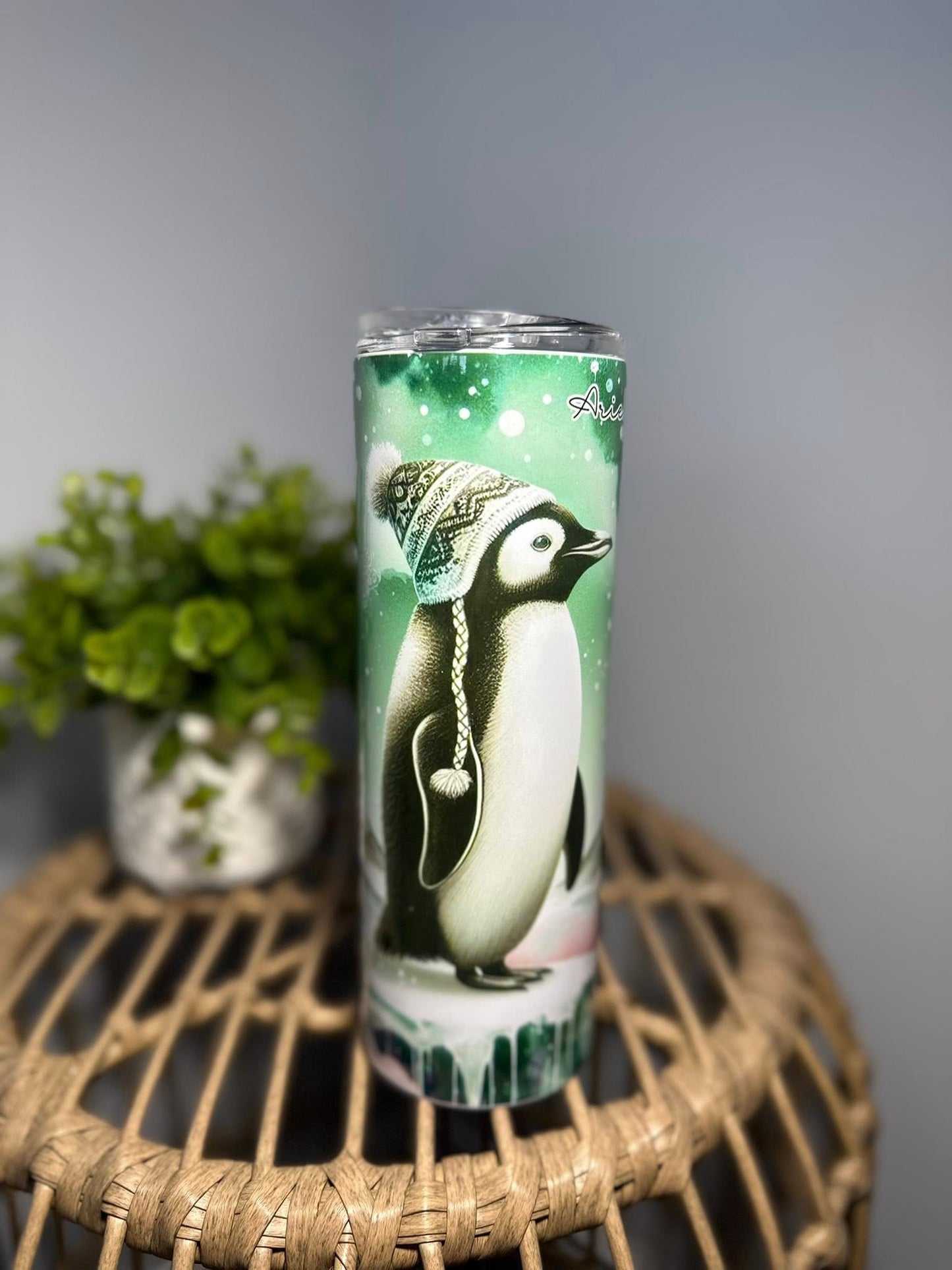 Penguin d'Hiver