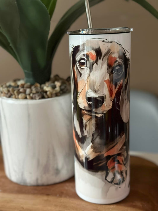 Chien saucisse