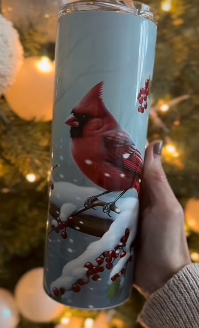 Cardinal hiver