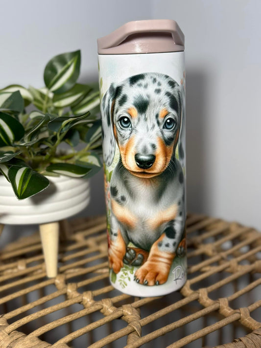 Chien saucisse